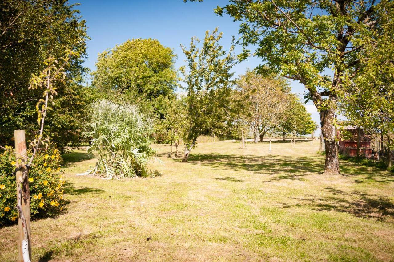 فيلا Cadleigh Manor أيفي بريدج المظهر الخارجي الصورة